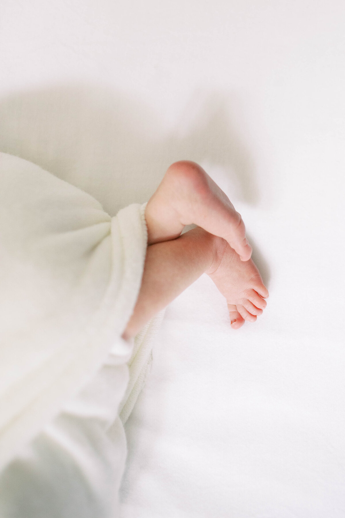 winston-salem-newborn-photographer26
