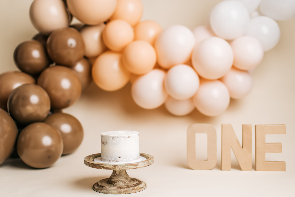 Huntsville AL Cake Smash Photographer