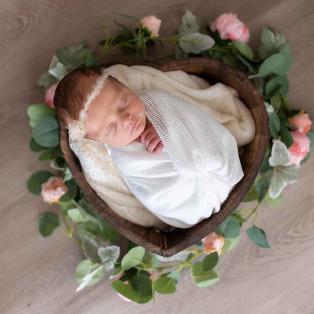 Elizabeth Priniski Madison Family Photographer Connie-7