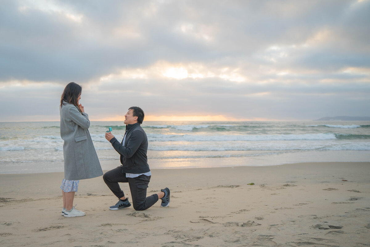 Coronado Beach Proposal