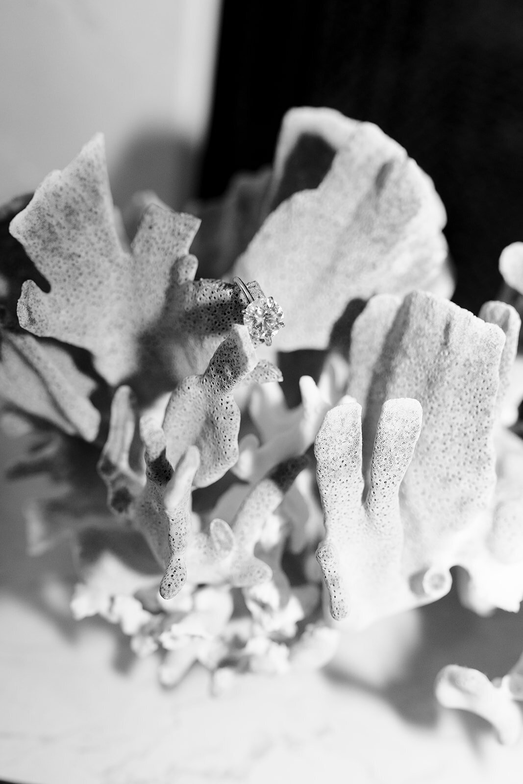 alyssa-marc-casadelmar-santamonica-izziecervantesphotography-wedding-1712_websize (1)