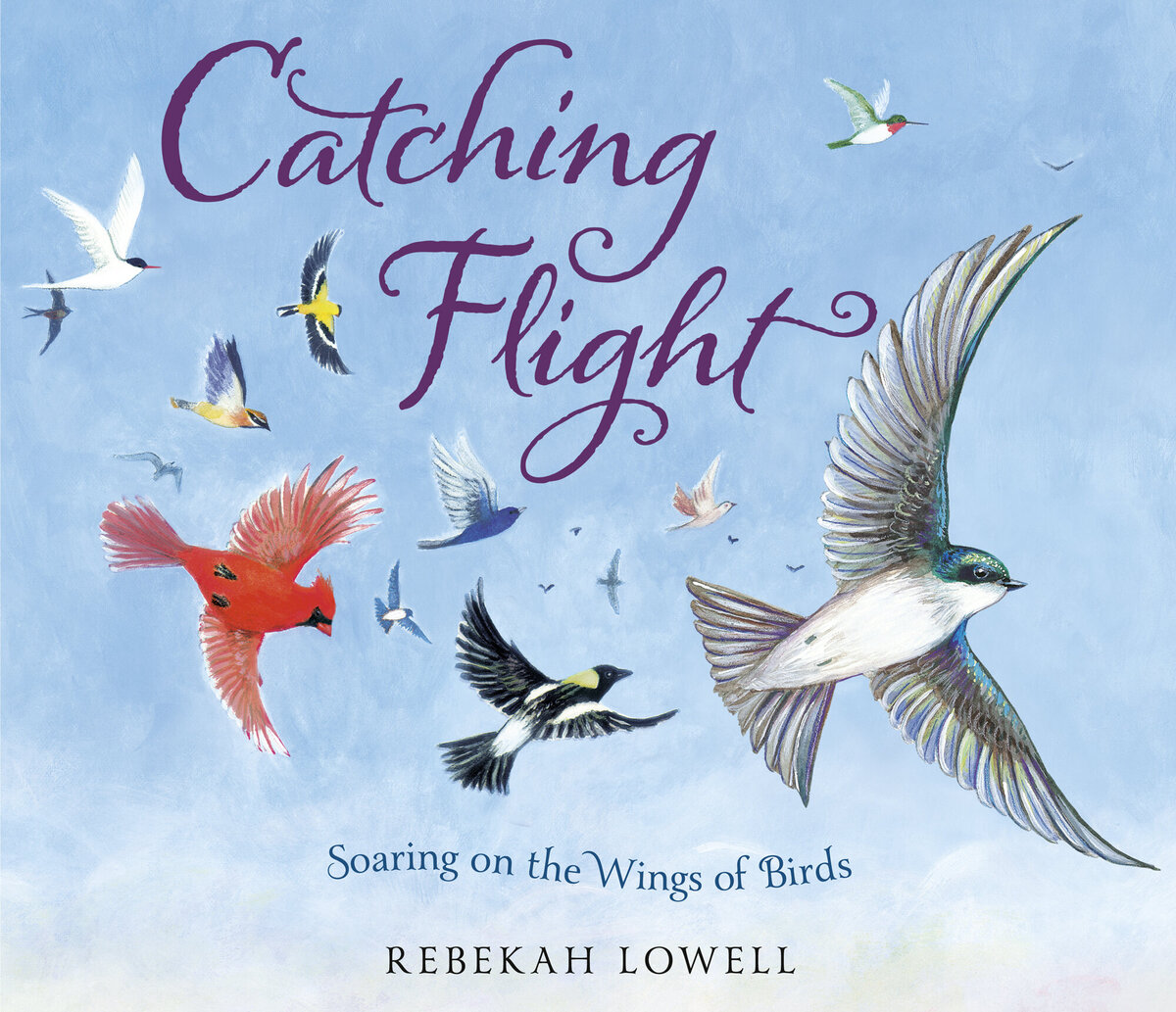 Catching-Flight-cover-Rebekah-Lowell
