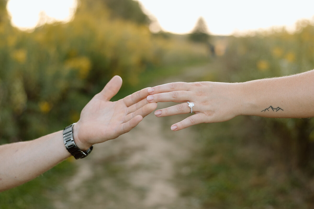 Engagement-5757