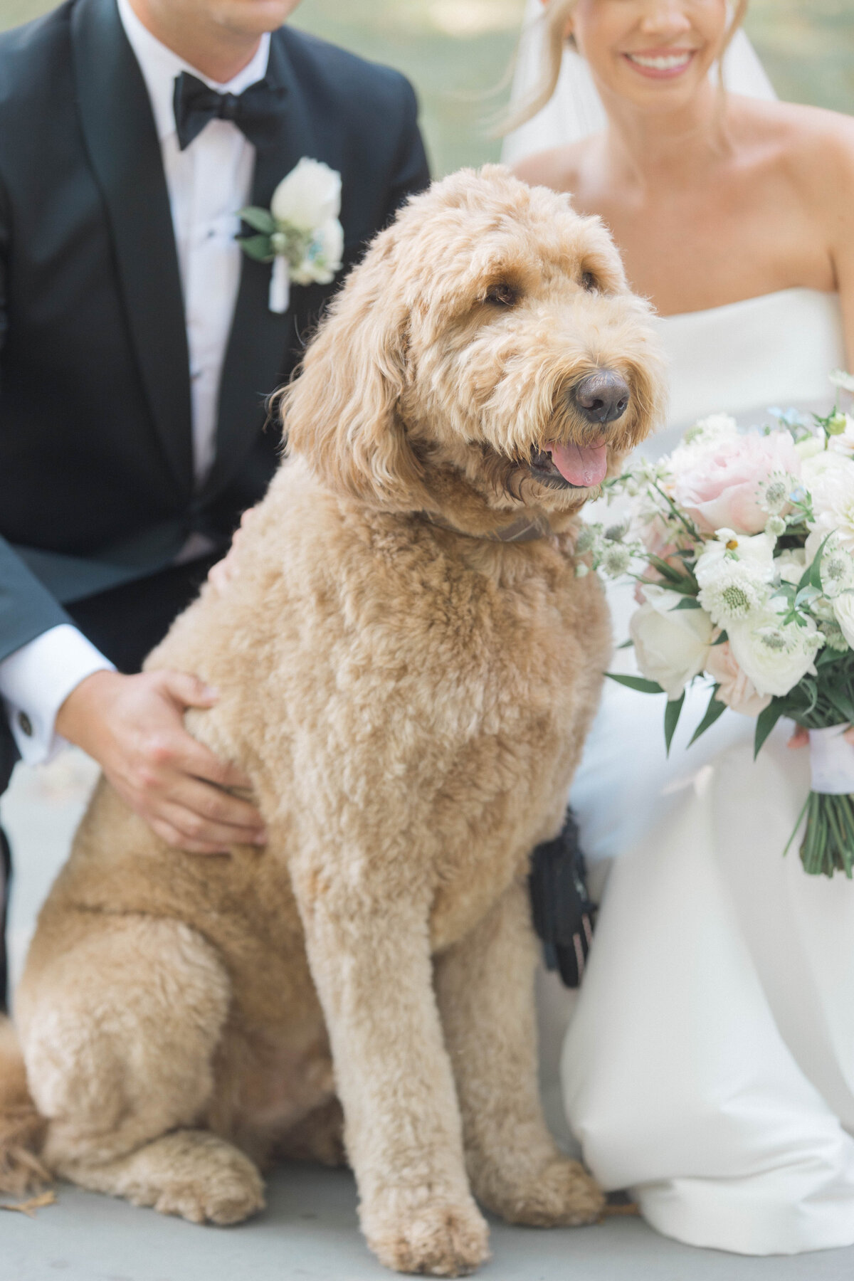 Molly Sue Photography New Jersey + East Coast Wedding Photographer Romantic Imagery Engagement Lifestyle Heirloom Wedding Albums49632