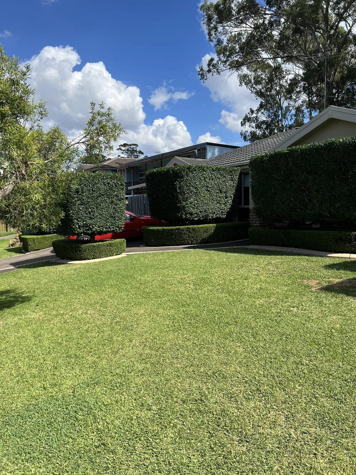 hedges stu