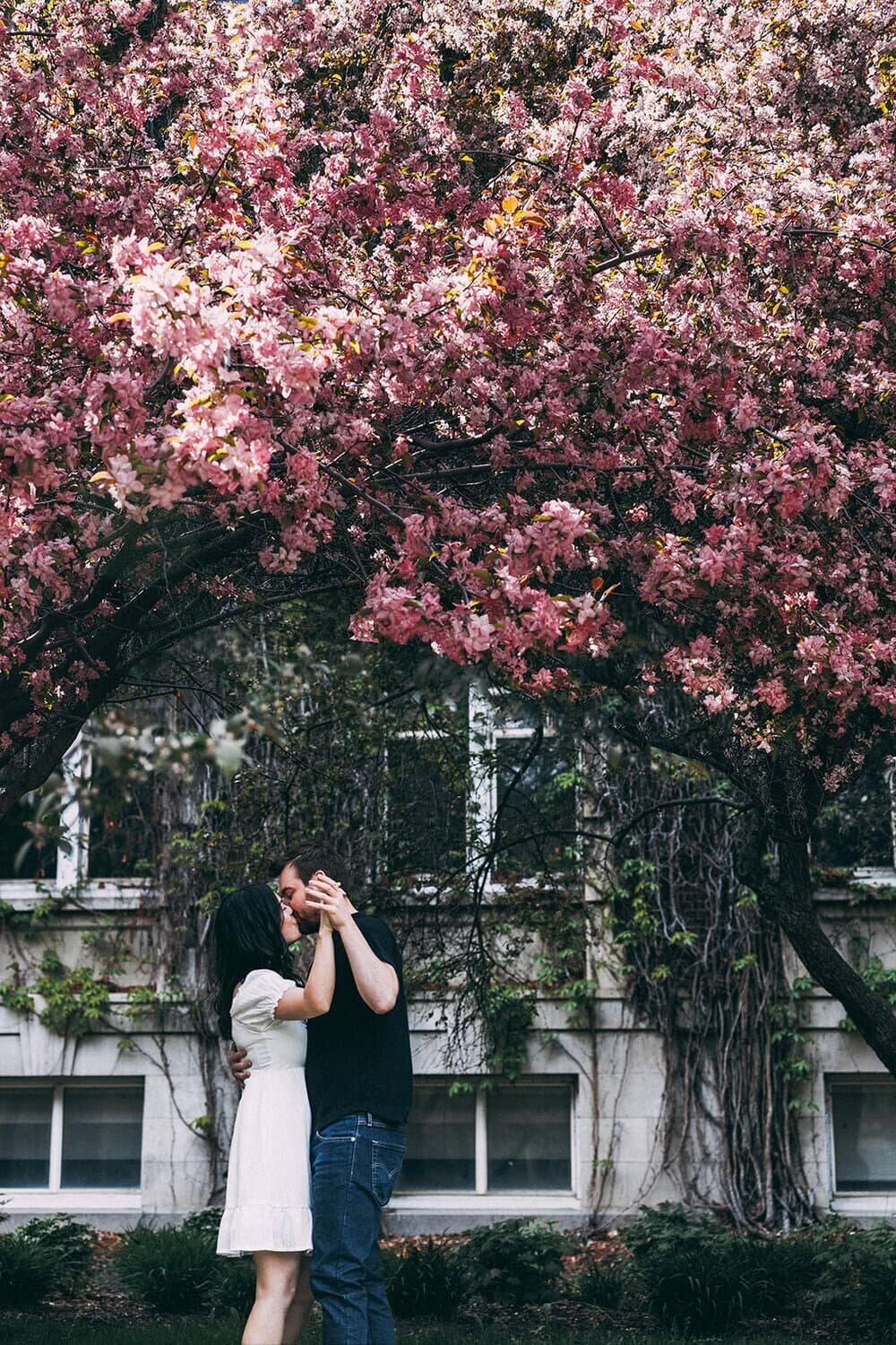 Alberta couple, engagement and proposal galleries by Allie Knulls Photography