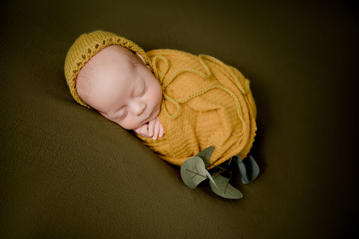 Minnesota Newborn Photographers