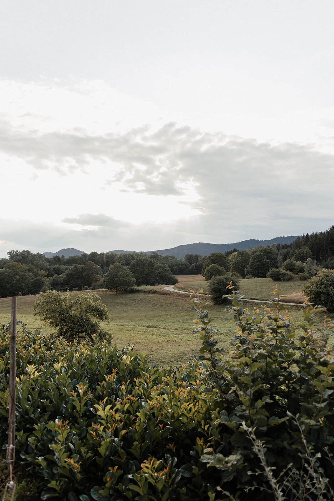 Photographe - mariage - strasbourg - alsace - 041