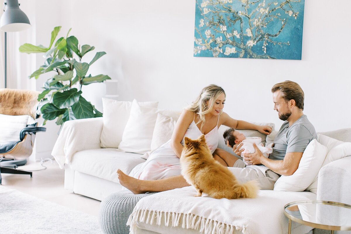 In home family photo session of daddy holding newborn while mommy looks down lovingly with pet