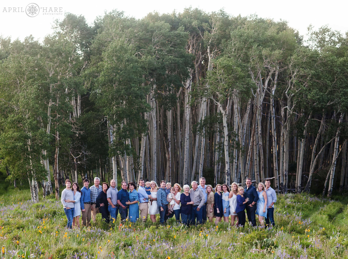 Extended Family Photography in Kremmling Colorado in the Giant Aspen Trees