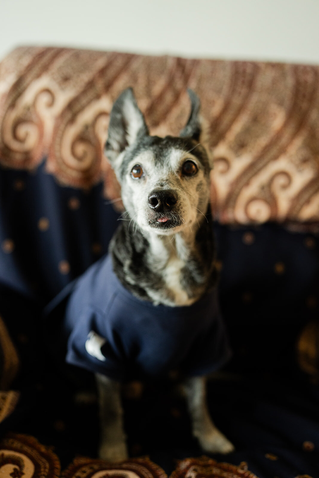 eryn_chandler_photo_austin_wedding_photographer15