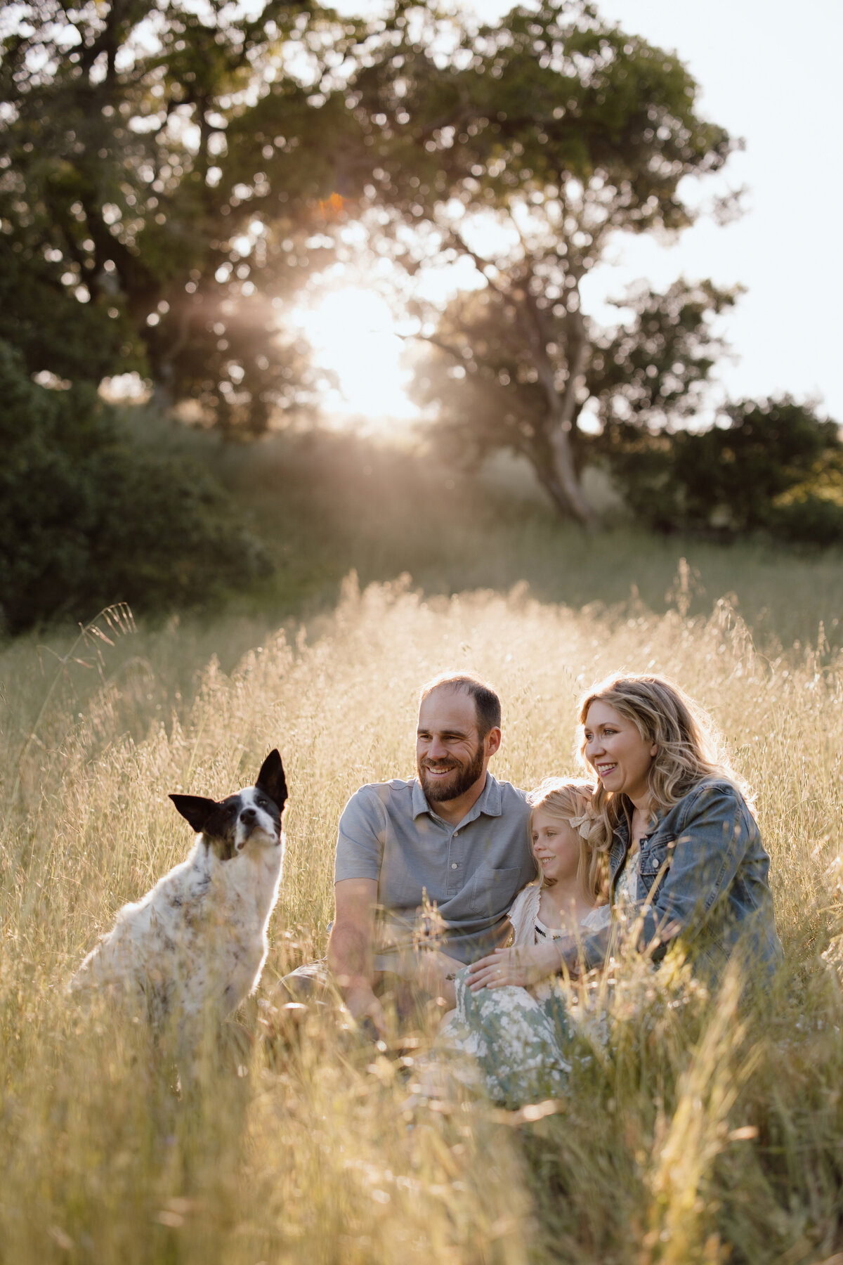 Family Photoshoot with dog in Sonoma County CA