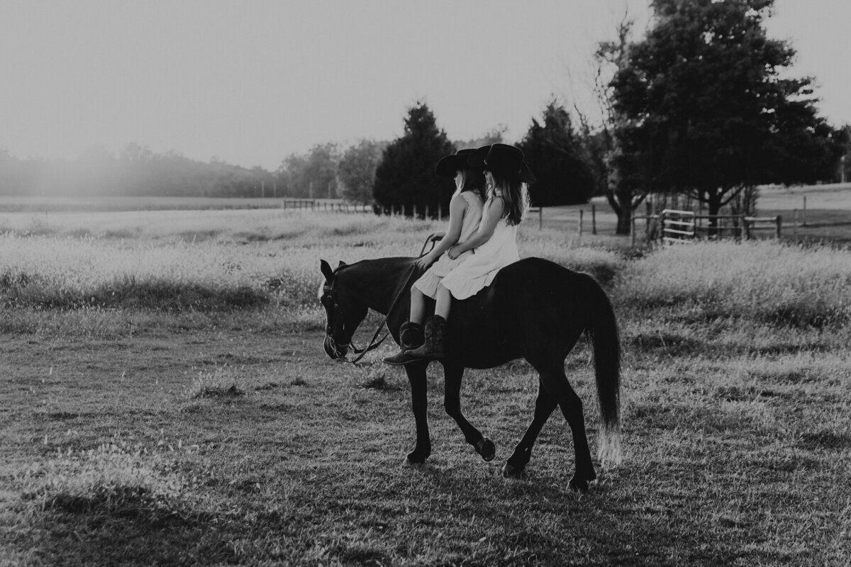 pictures with horses