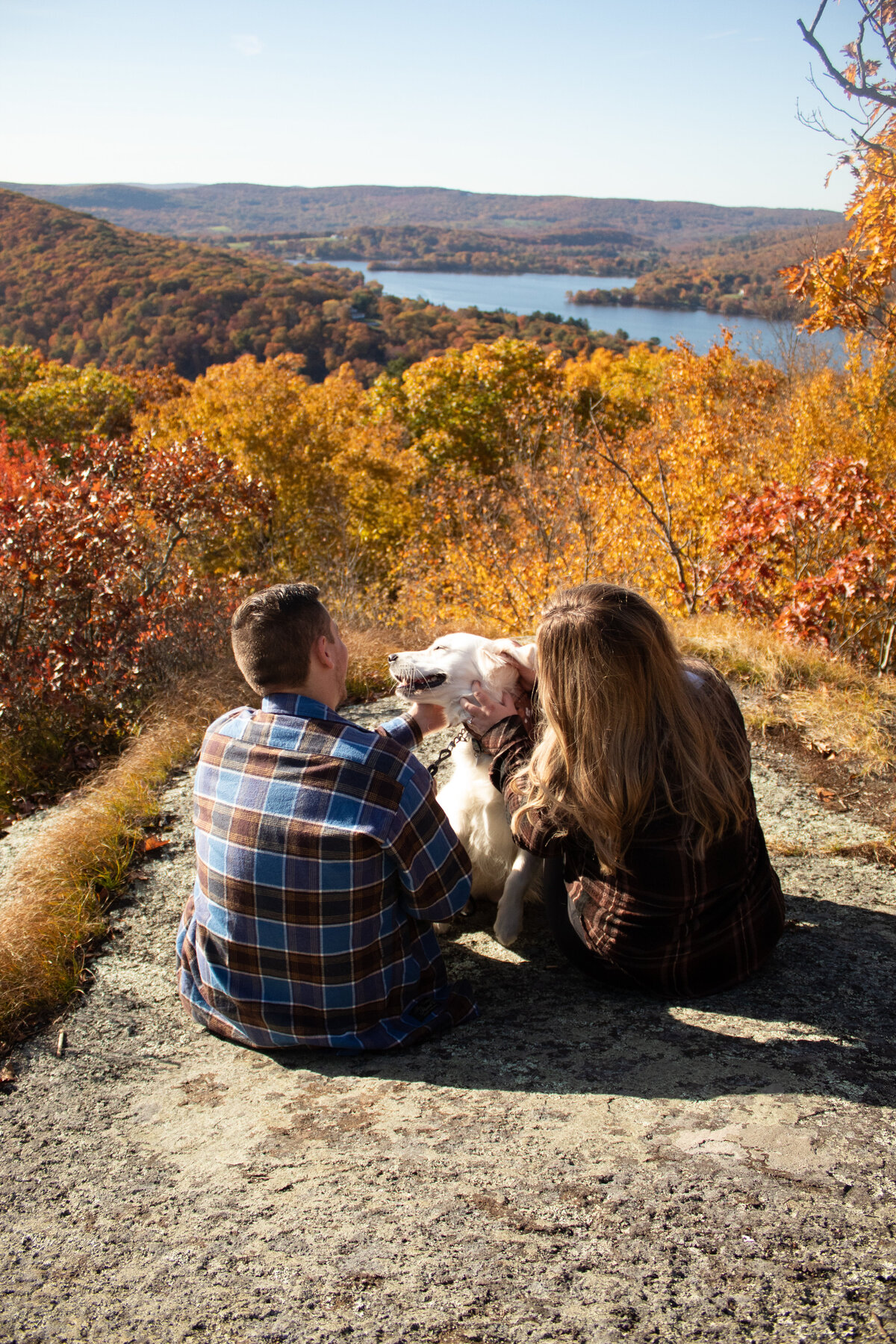 Surprise Engagement in Connecticut