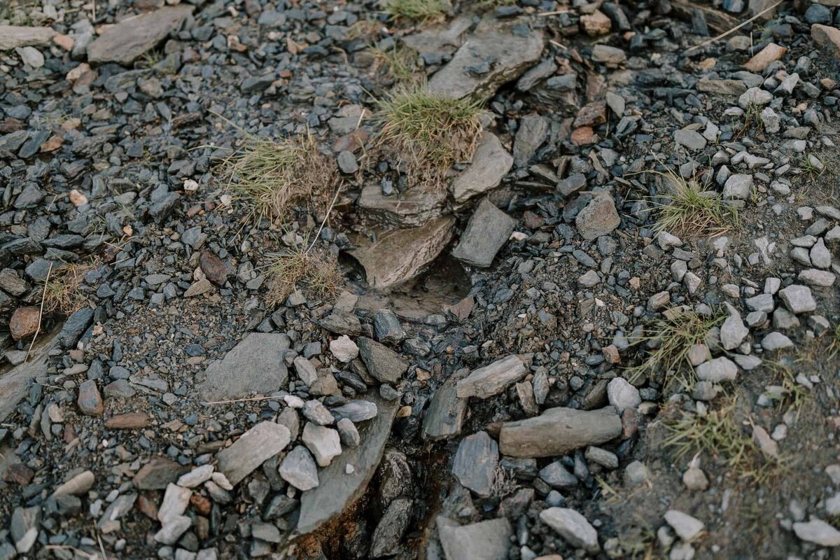 Rachel_Andrew_2025-279