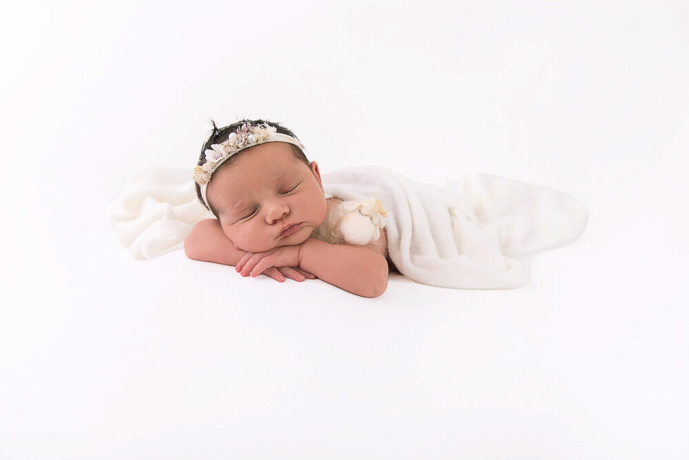 newborn baby girl on a white background holding a little lamb.