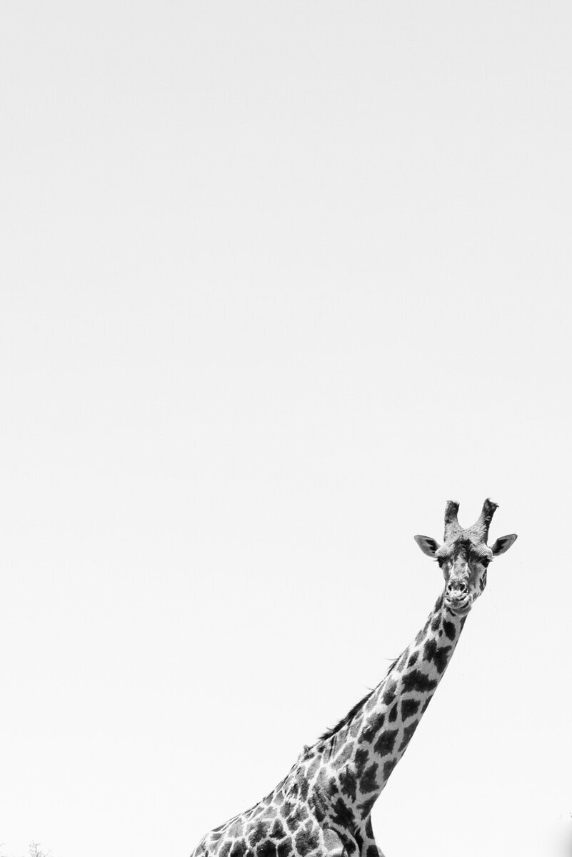 leila-brewster-photography-tanzania-0530