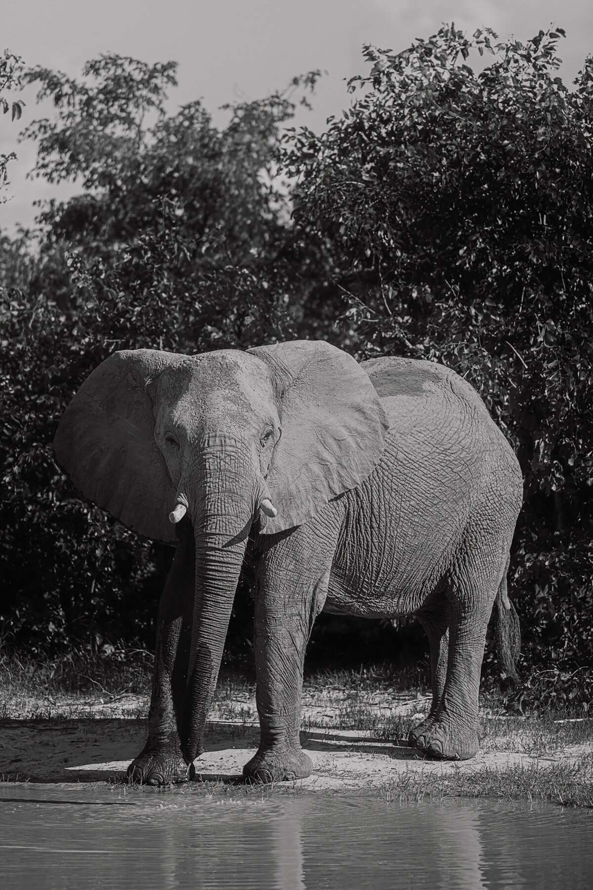 Michelle Norwood Living - Luxury Travel Inspiration - Botswana - untitled-206