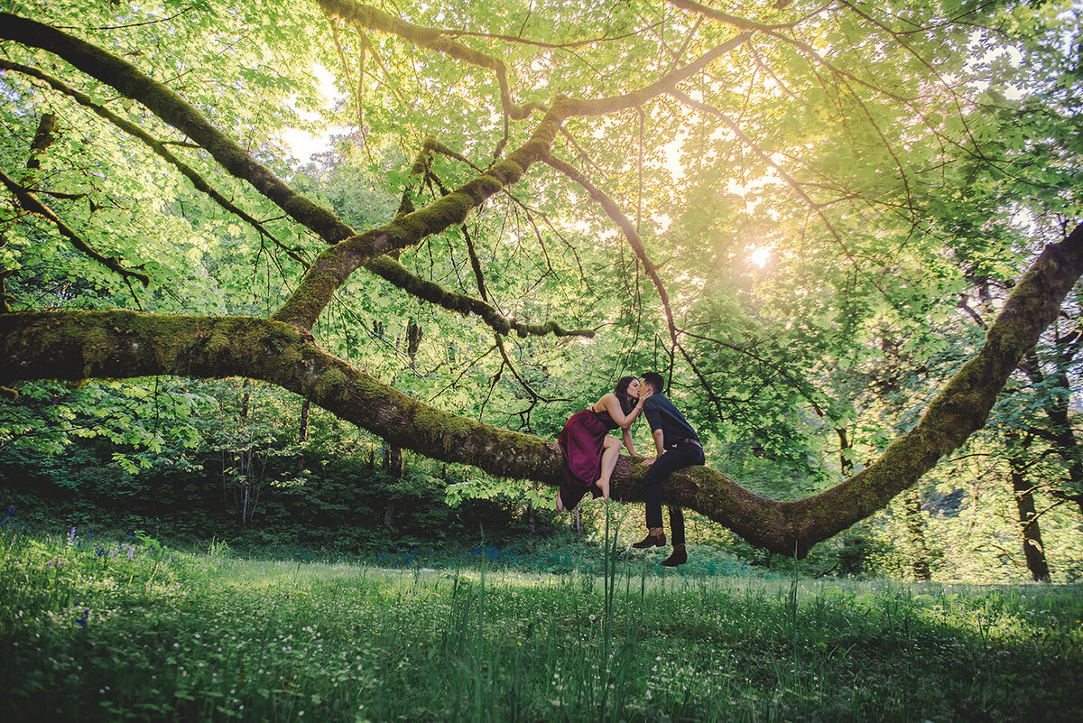 engaged couple kissing on tree