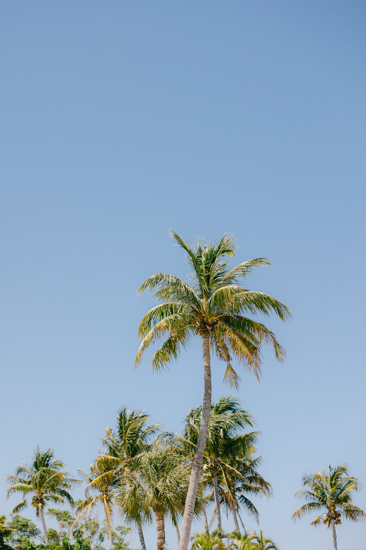 brittany-pannebaker-tampa-florida-destination-wedding-photographer-portfolio58