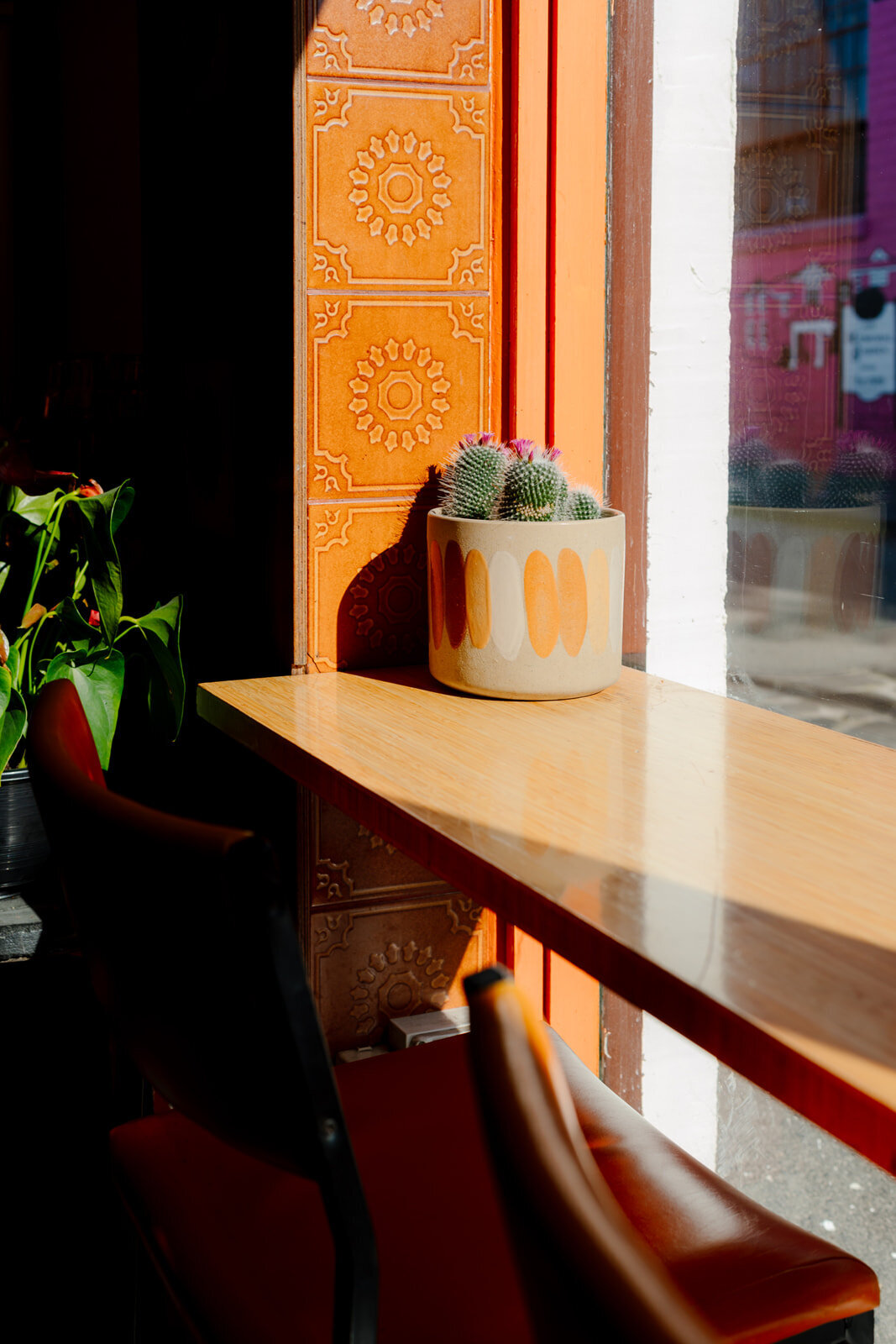 Cameron & Emanuel-262_websize