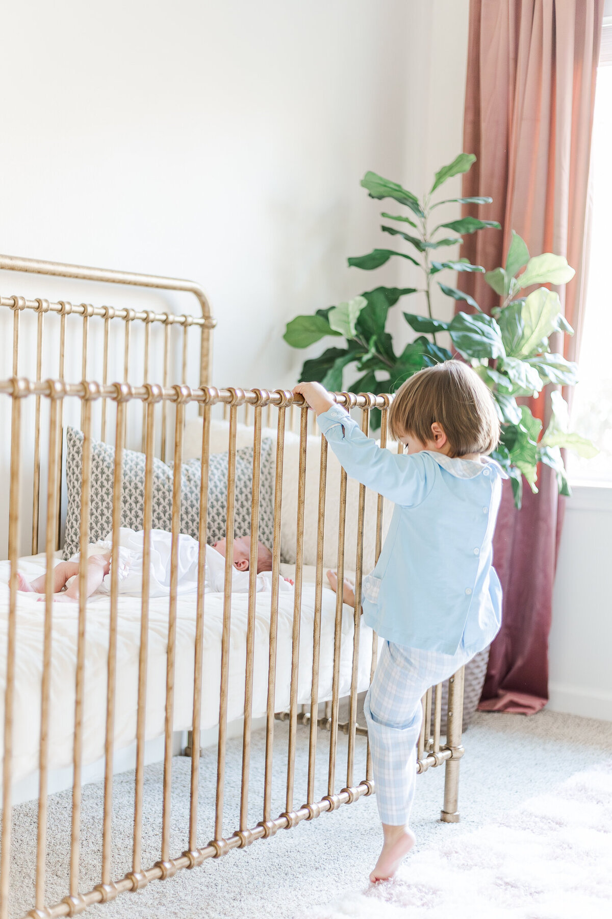 Lavender in-home newborn- greystone- birmingham, Alabama- 5U Photogrpahy--2