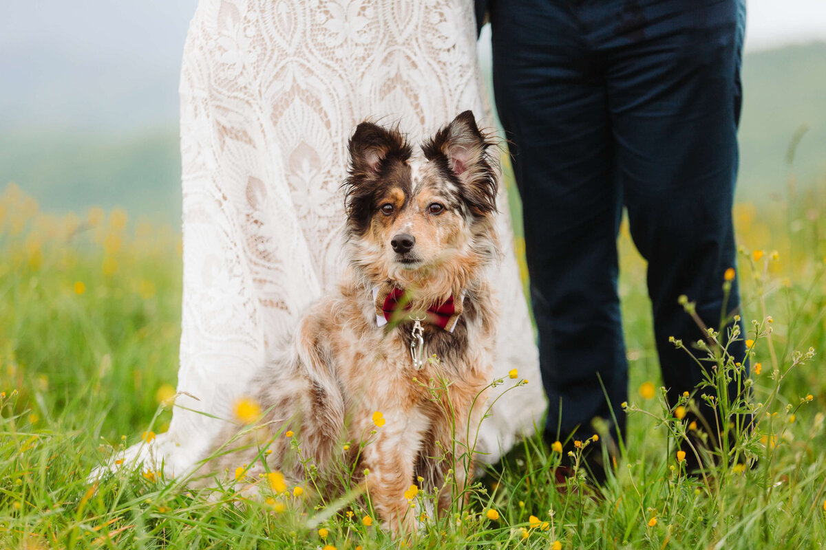 Max-Patch-NC-Elopement-14