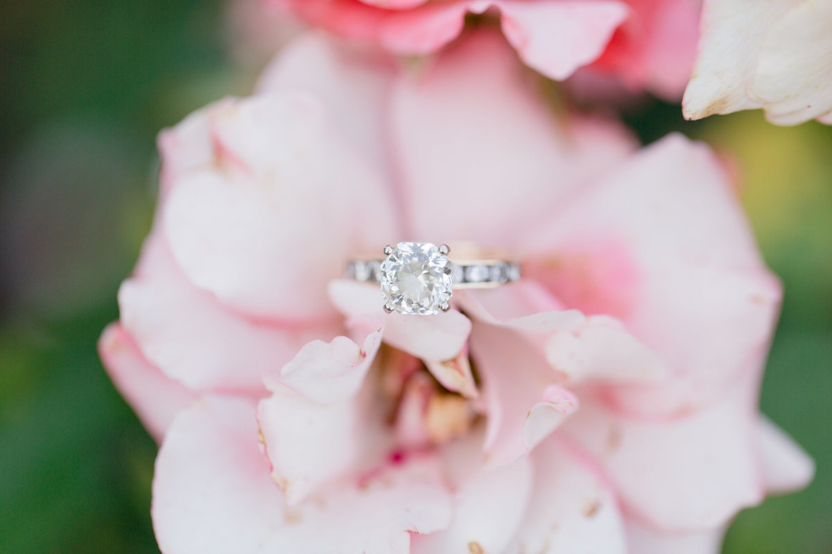 Emma+Todd-101