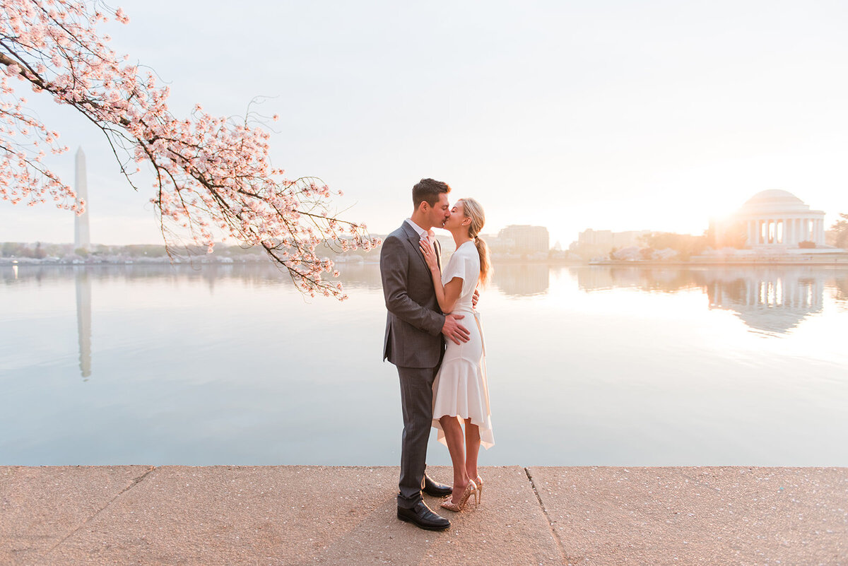 WASHINGTON_DC_CHERRY_BLOSSOMS_L+E_JOFFOTO_-1