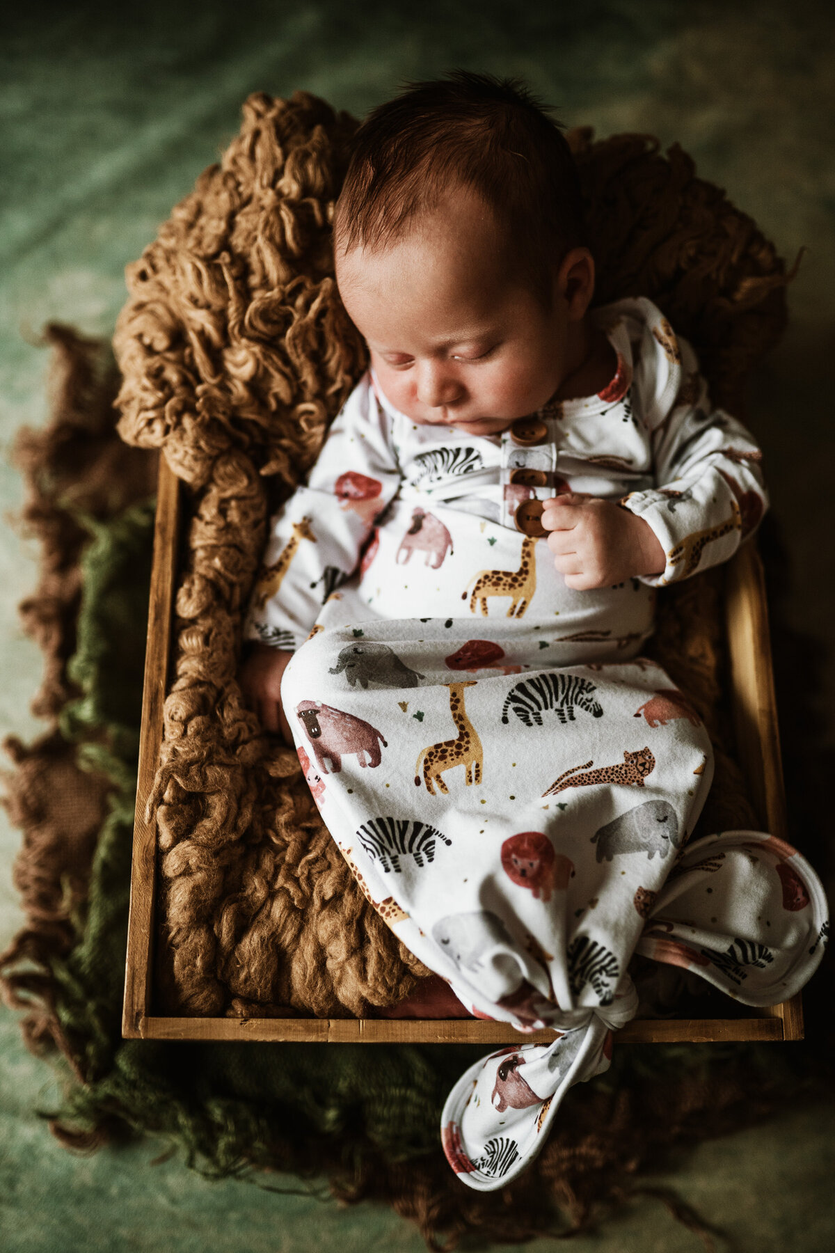 pittsburgh newborn Photographer-5