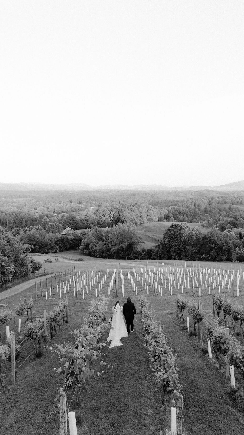 Zaversnik-Wedding-226