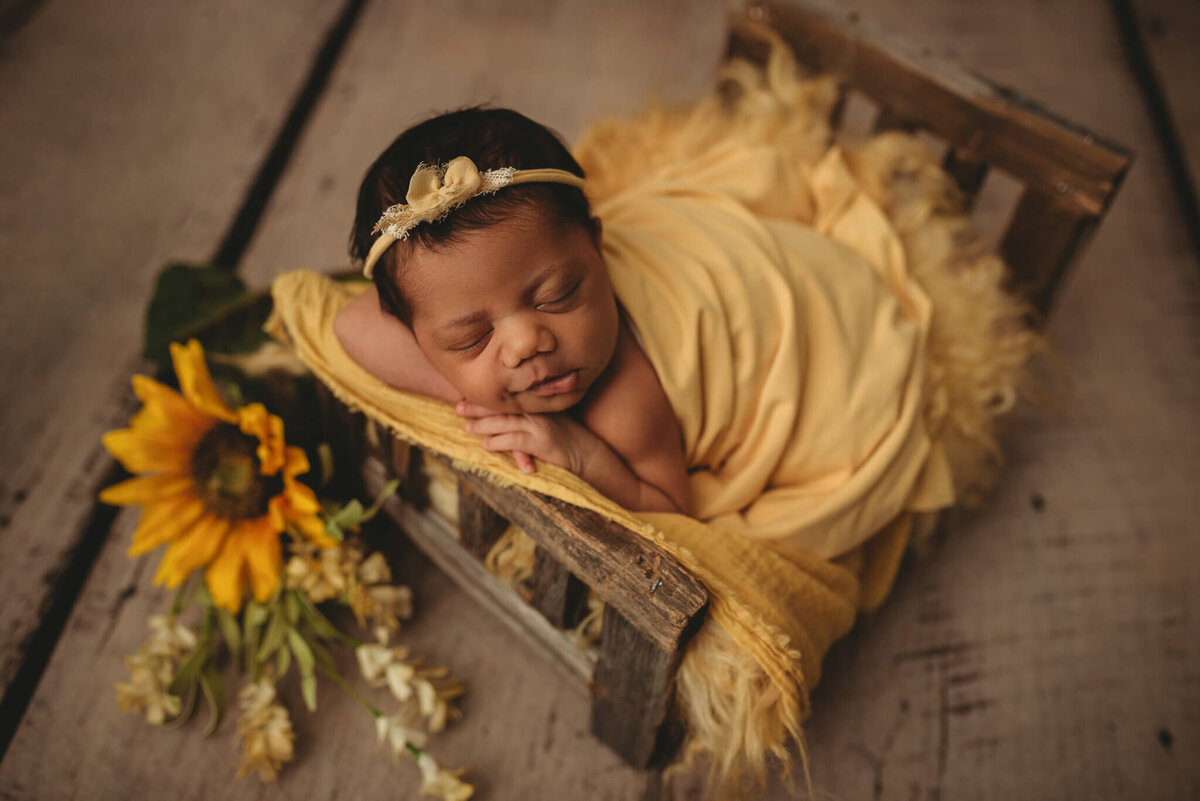 columbus-ohio-newborn-photographer-55
