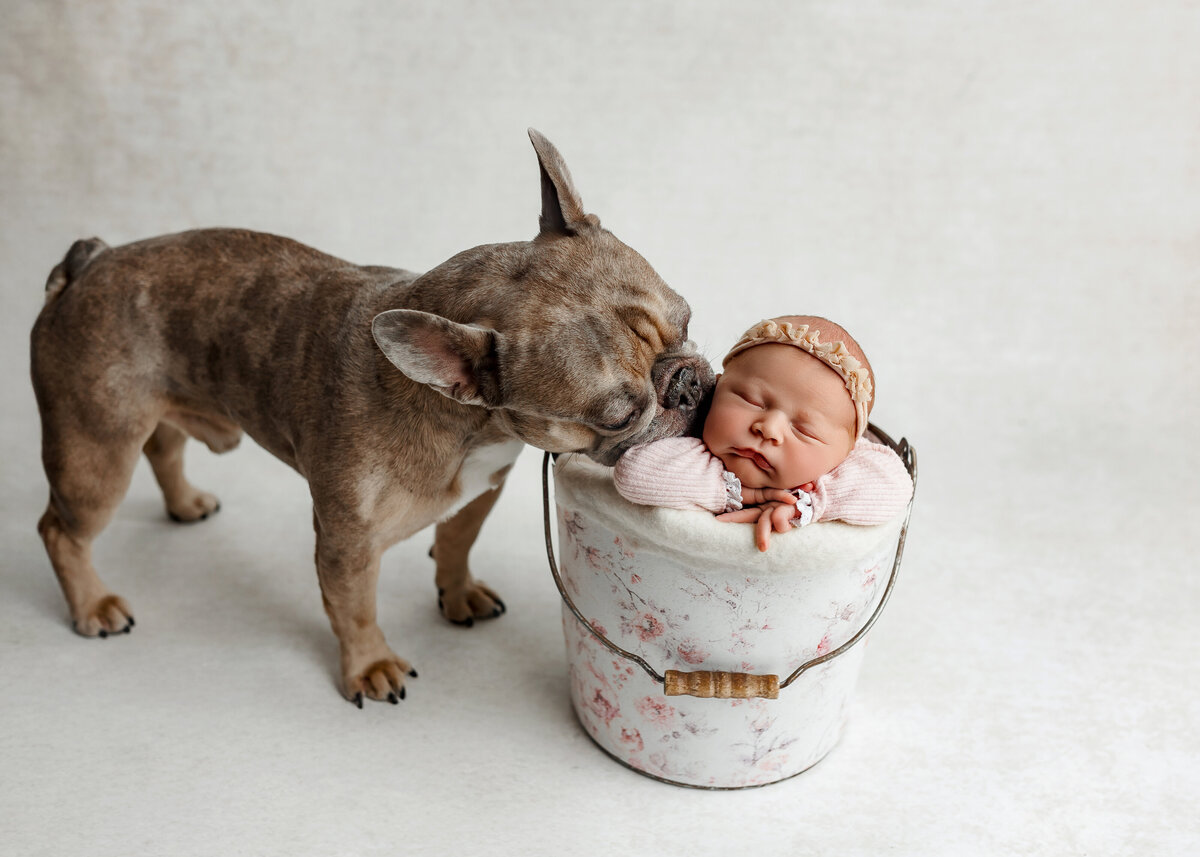 nj-marlboro-newborn-photographer8