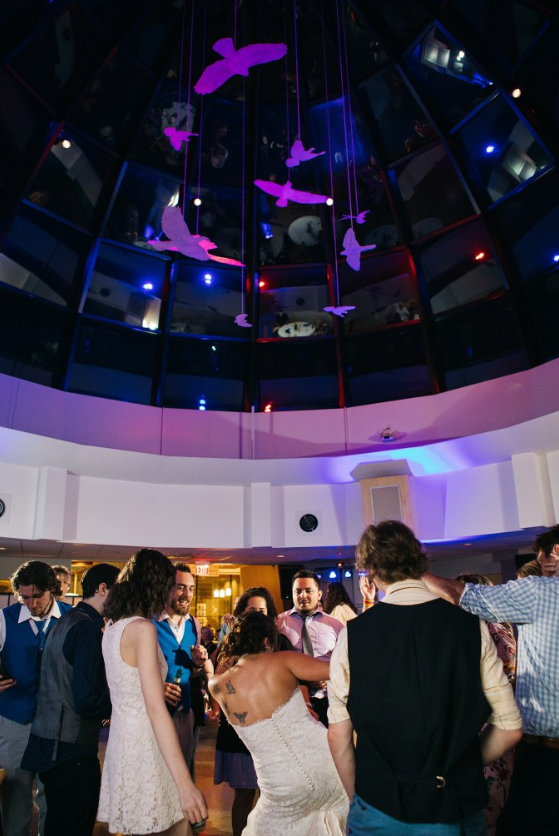 Wedding at National Aviary, Pittsburgh, PA
