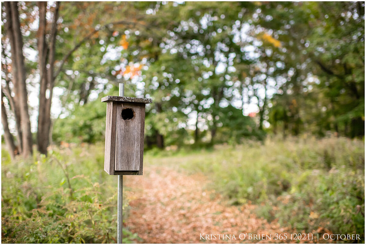 maine-lifestyle-photographer-0284