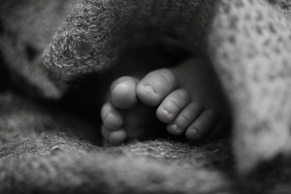 bella-luce-by-michelle-andrea-new-england-photographer-newborn-casey-family-19