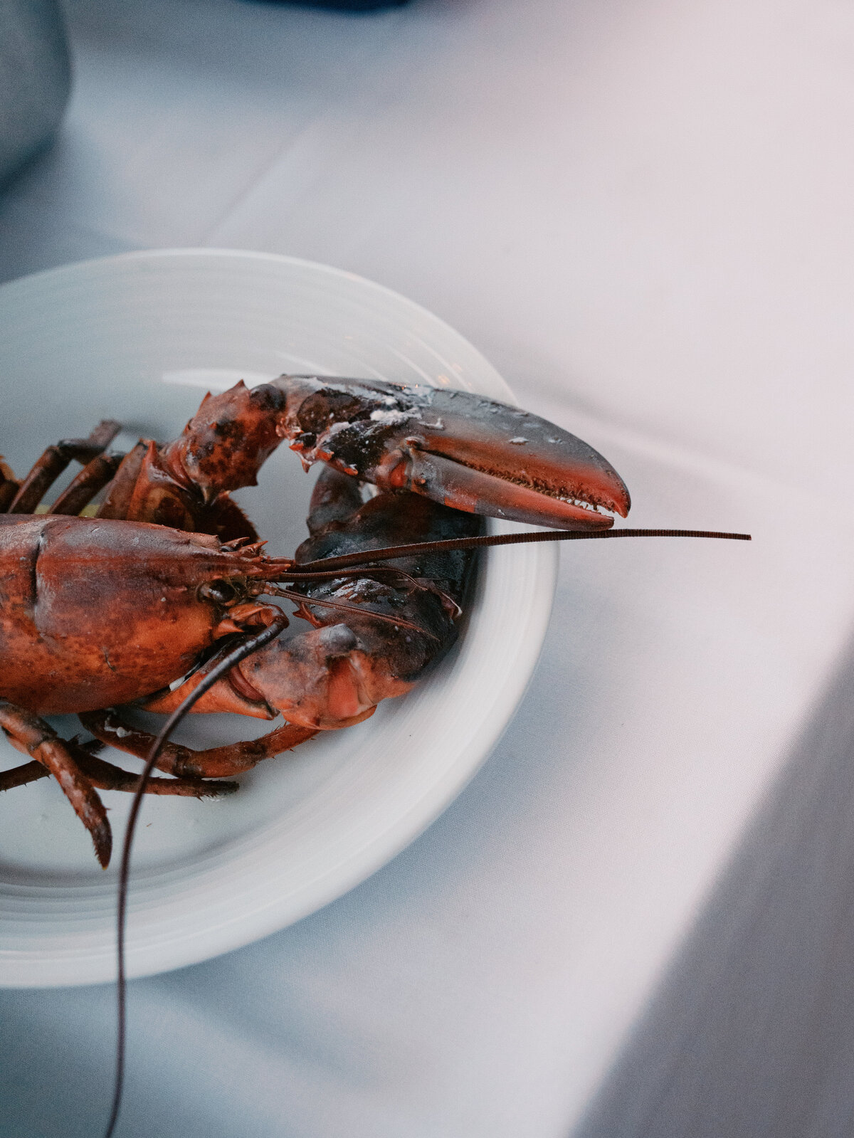 luxury-summer-wedding-planner-newport-ri