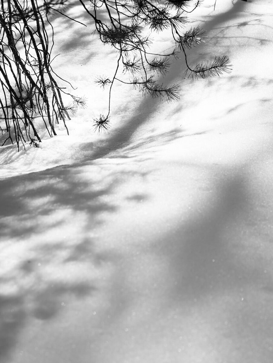 leila-brewster-photography-crested-butte-0201