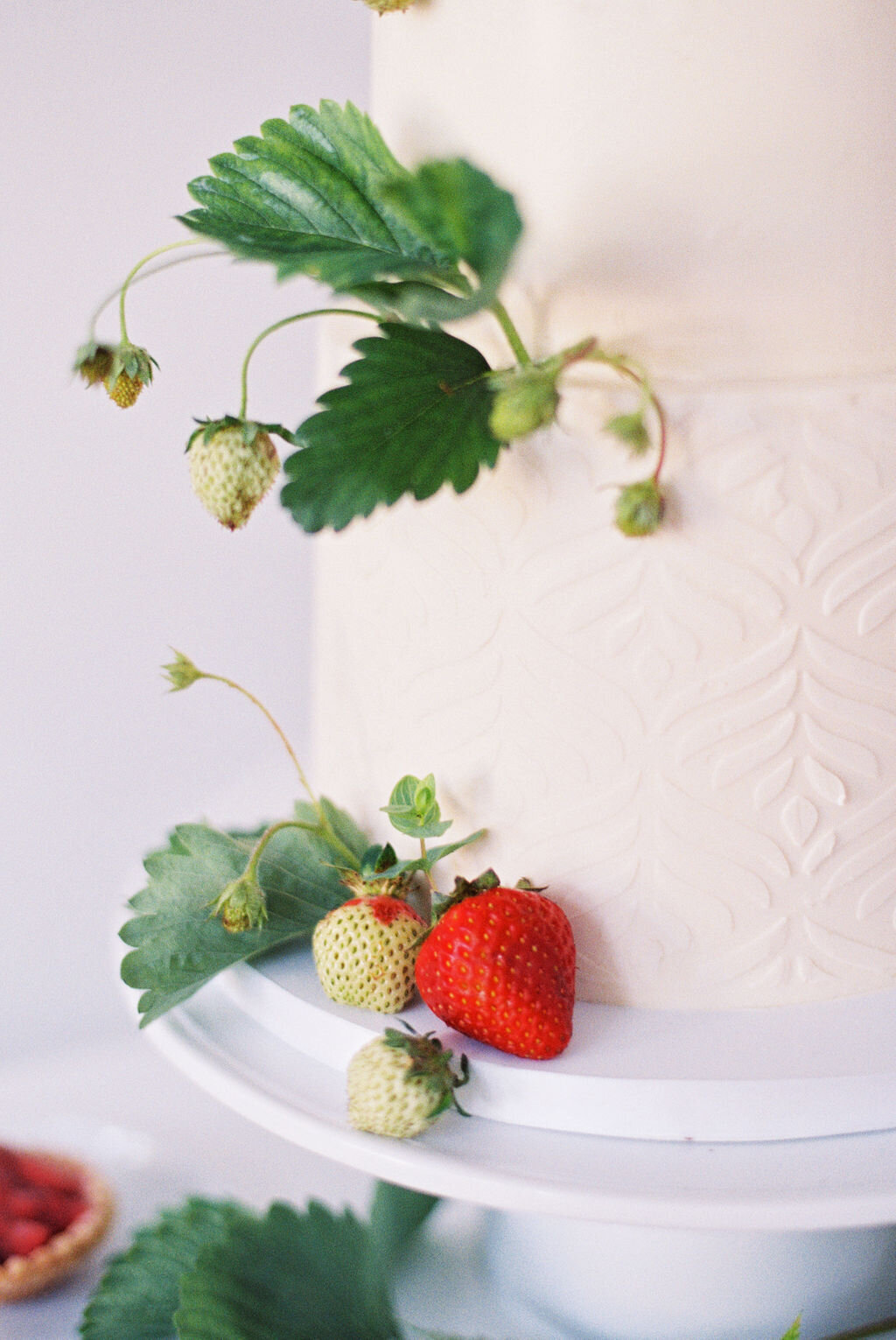 EstherFrederickPhotography45