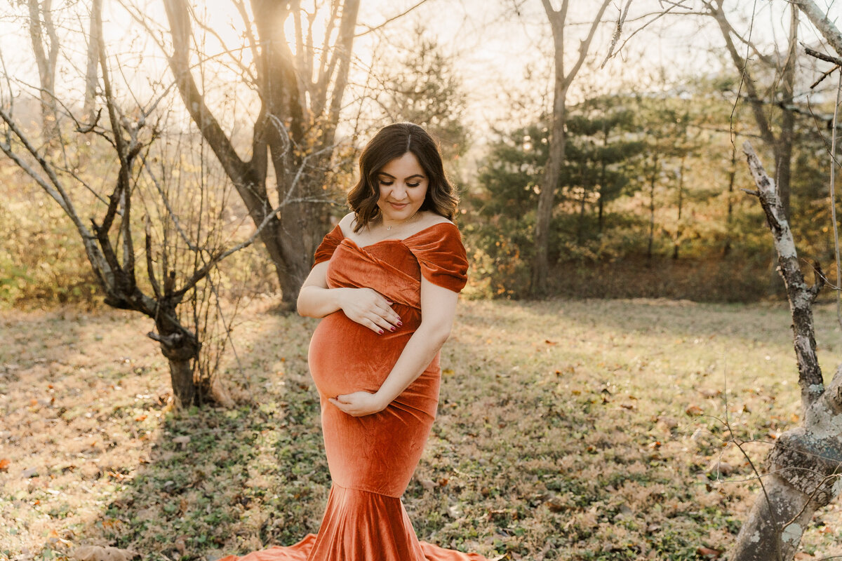 Maternity Portrait taken by Photography By Billie Jean - Bowling Green Kentucky Maternity Photographer