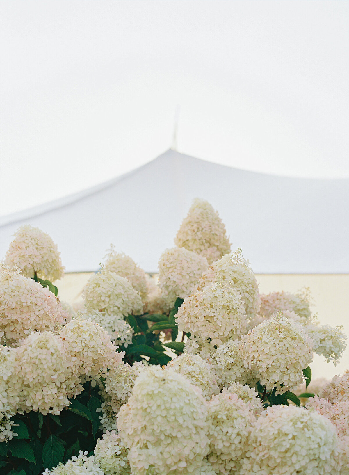 Seattle Tennis Club Wedding - Film Photography - H&G - 37