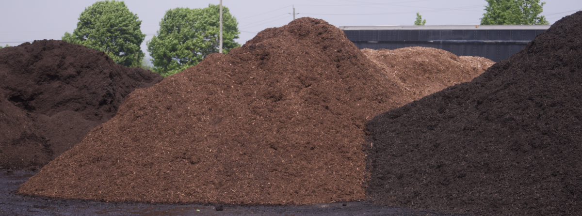 Screenshot 2025-07-21 at 10.58.05 AM