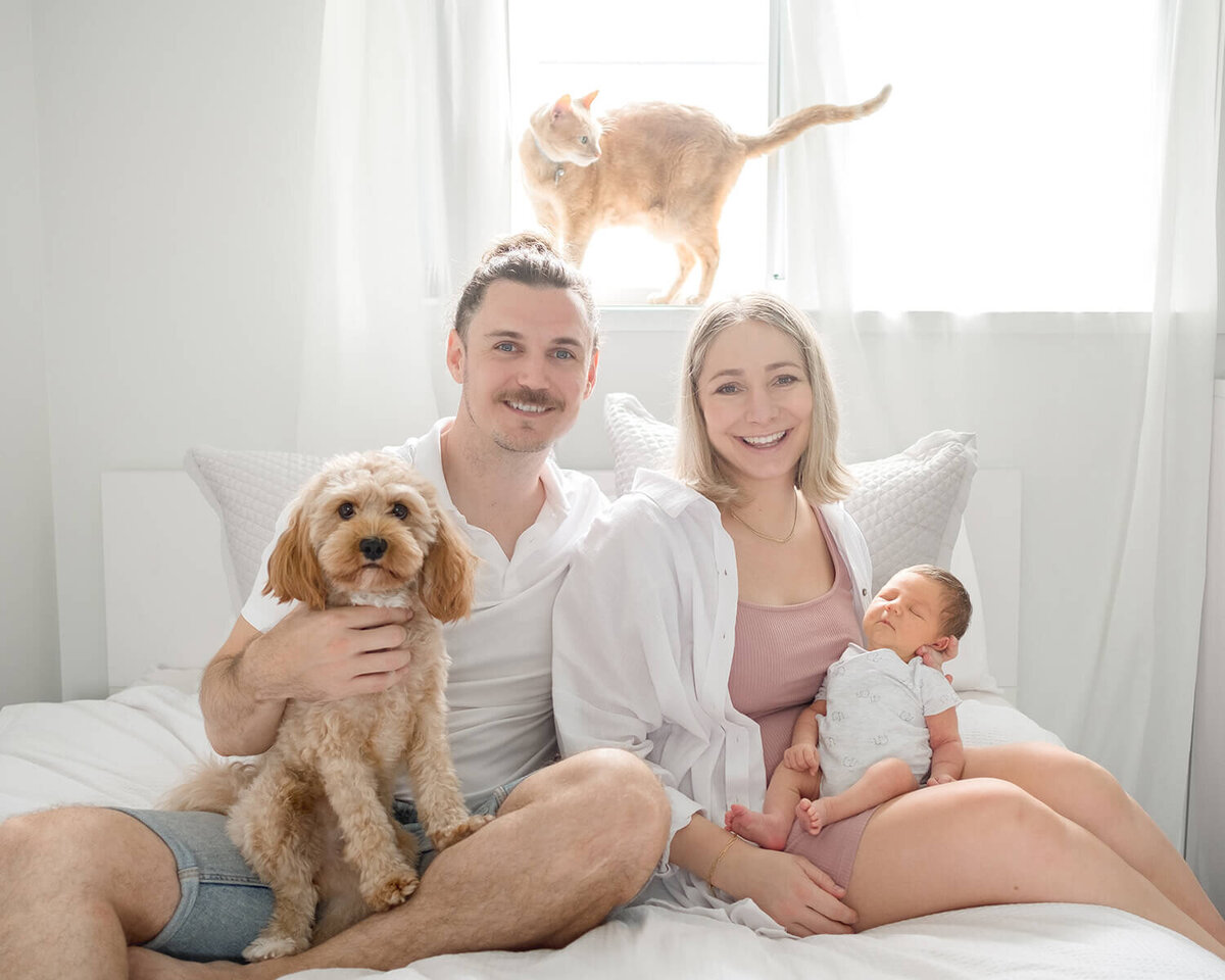 Newborn maternity photoshoot with pets in home session in Gold Coast QLD