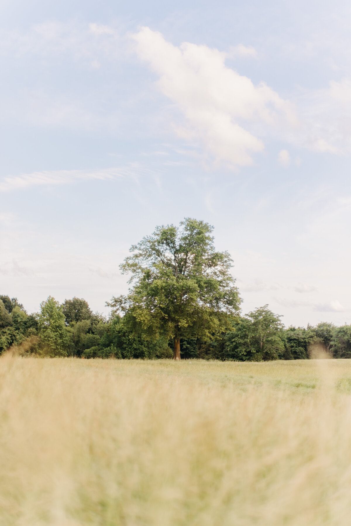 SAMSIKESPHOTO-0166