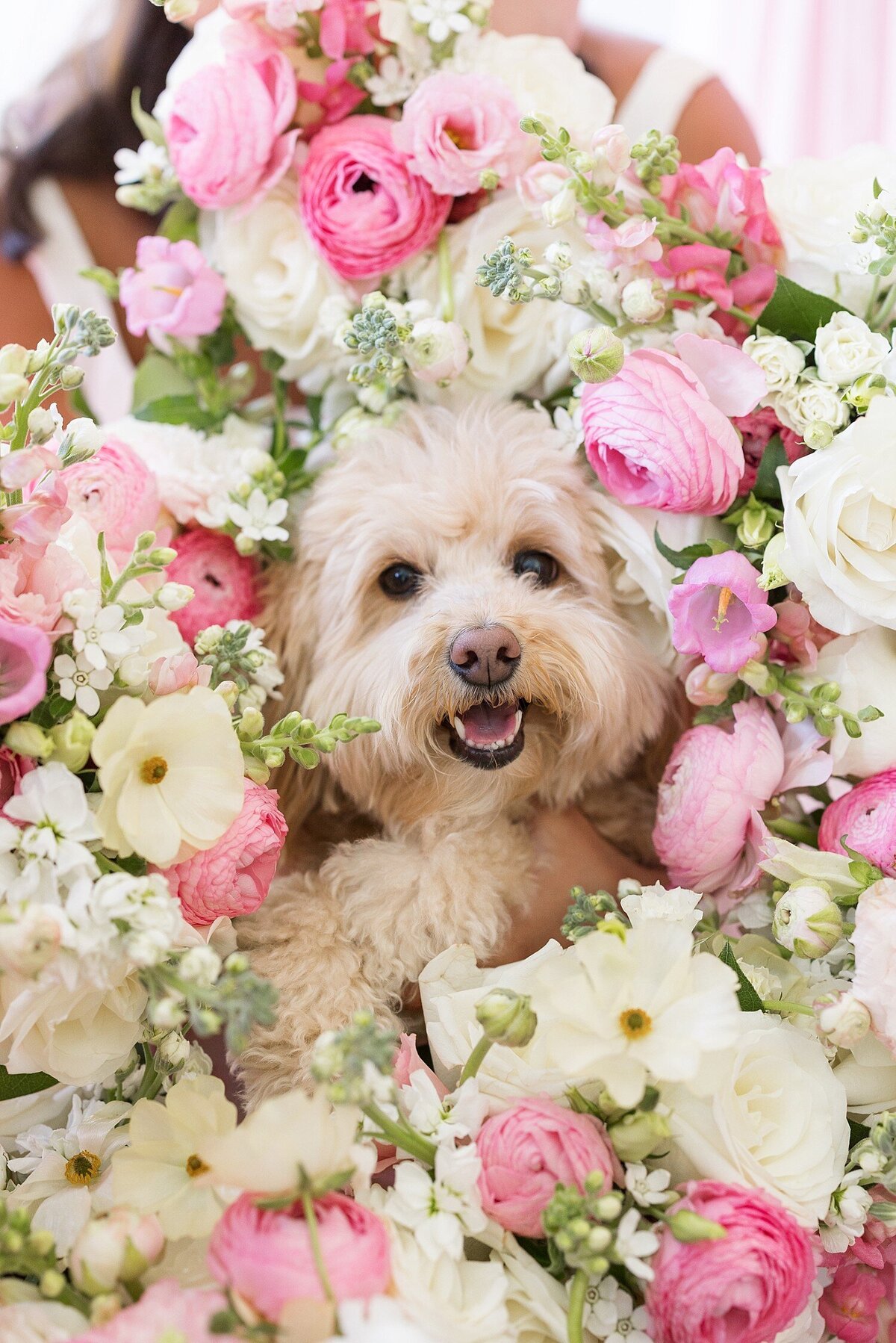 The-Upchurch-Cary-Wedding-Photographer-Timeless-Spring-Wedding-Sarah-Hinckley-Photography-valkeaton2025-_0033