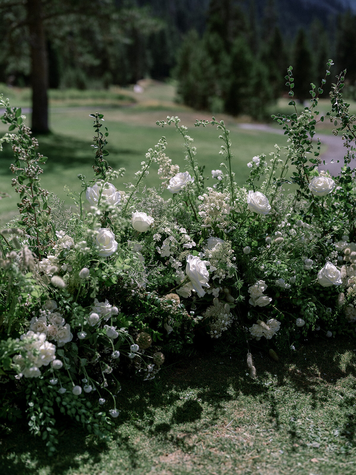 Cassia-and-AJ_Wedding_Everline-Resort-and-Spa_Lake-Tahoe_233