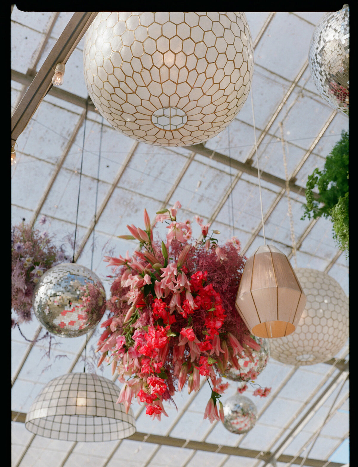 Cierra_Roman_Dos_Pueblos_Orchid_Farm_Santa_Barbara_Sophie_Berard_Photography_film-227