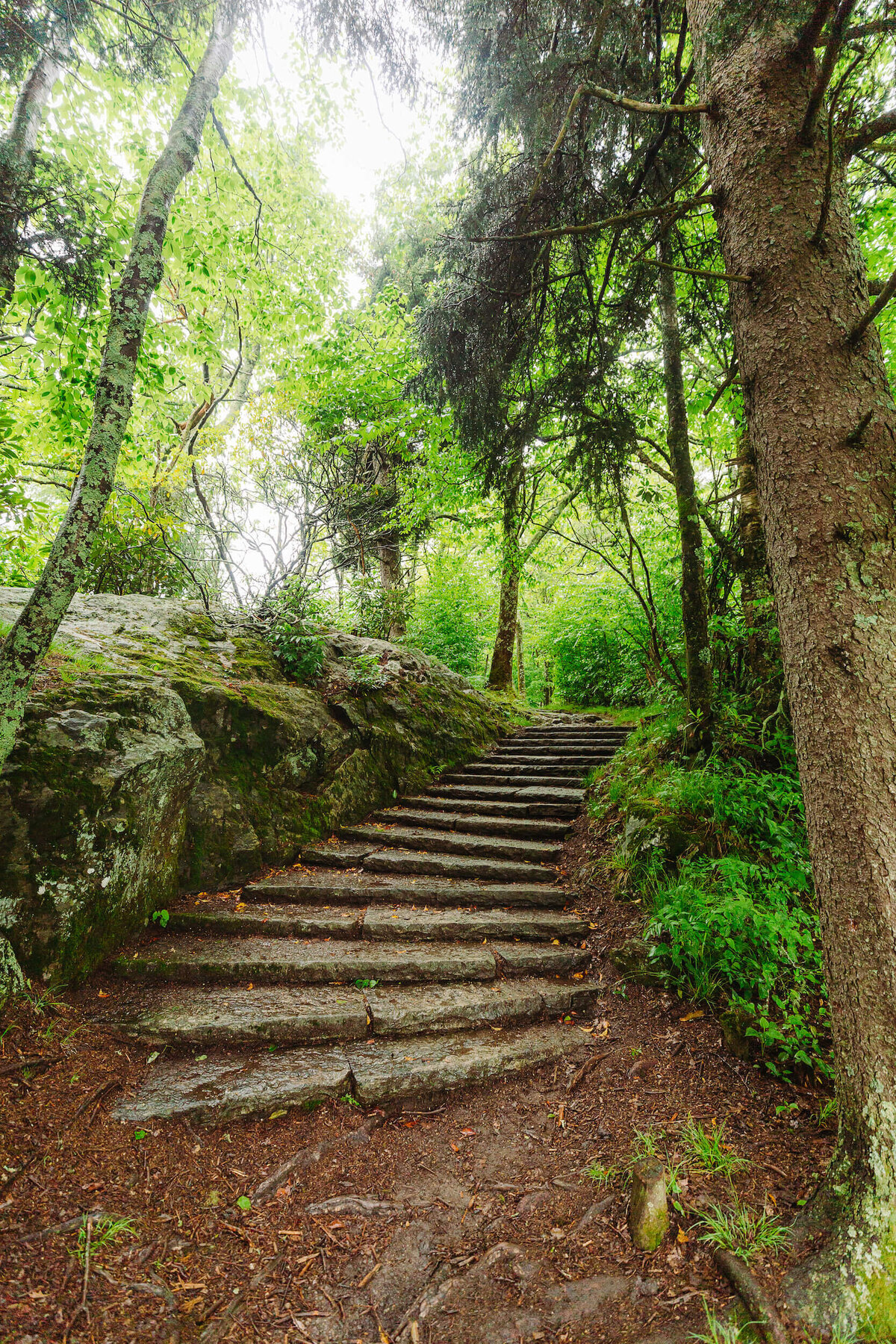 Buck-Springs-Gap-Nc-Elopement-3