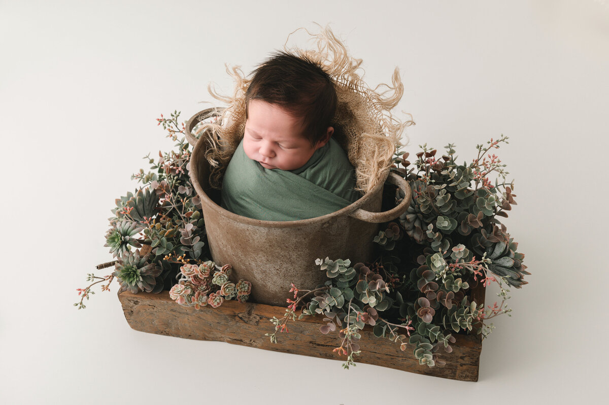 pasgeboren baby in tussen cactus plantjes in antieke emmer in neutrale setting