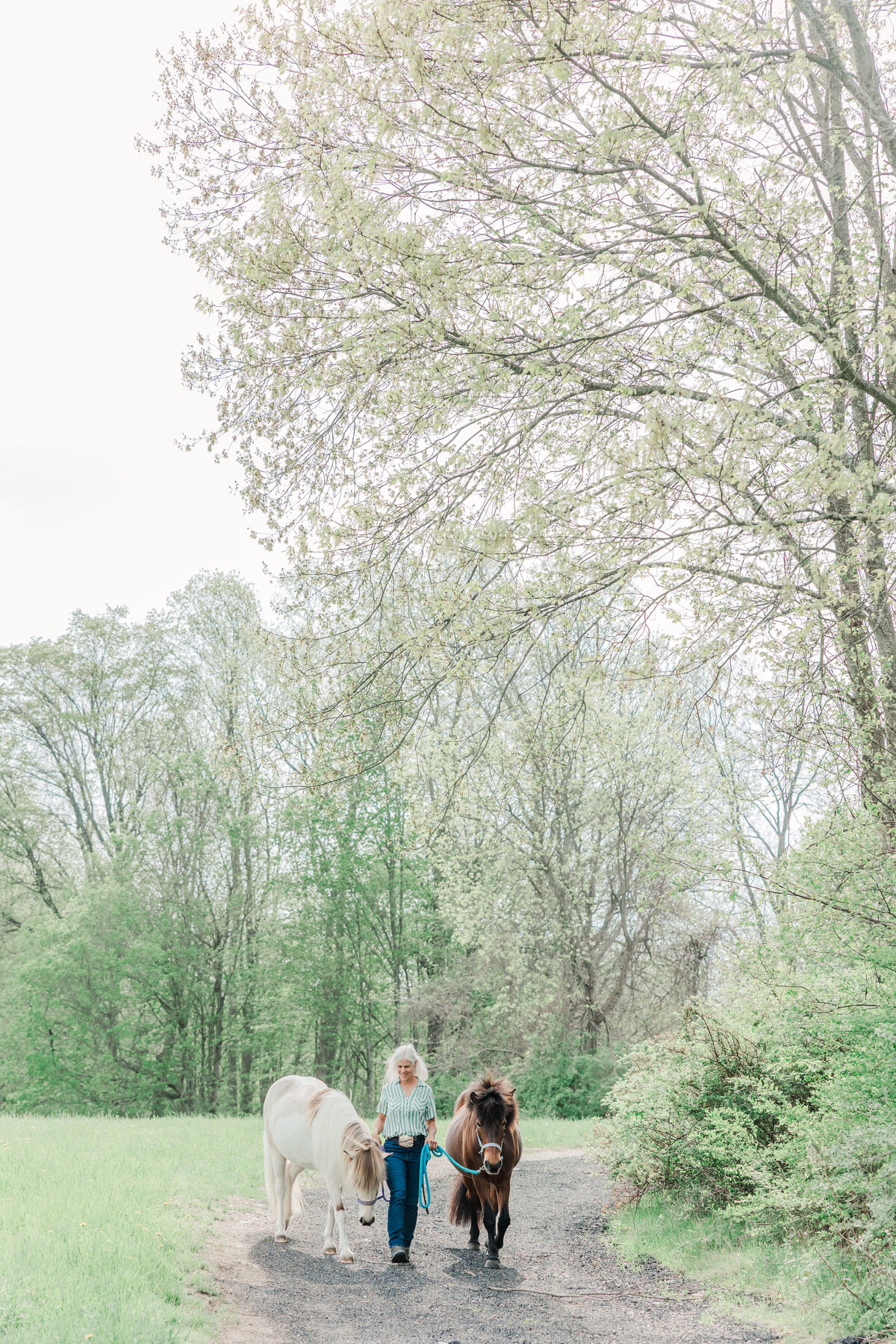 brittany-graf-photography-suzy-graf-jasmine-plane-ct-farm-life-48